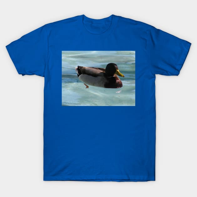 Like a duck in water T-Shirt by FriendlyComputerHelp